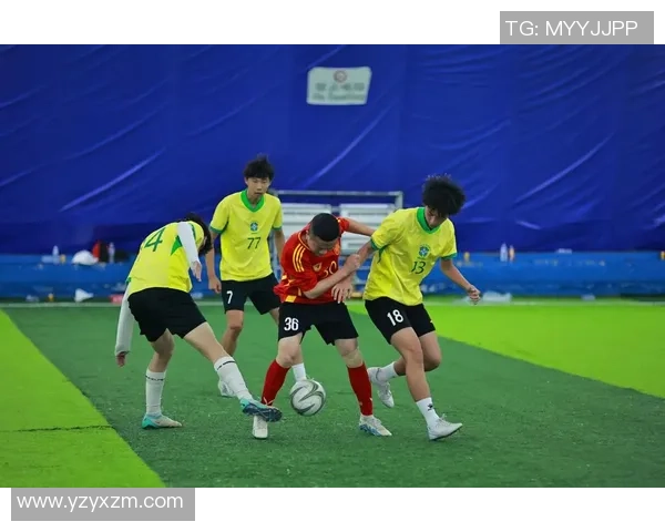 顶级足球赛事解析与明星球员表现回顾全面解读足球世界的精彩瞬间